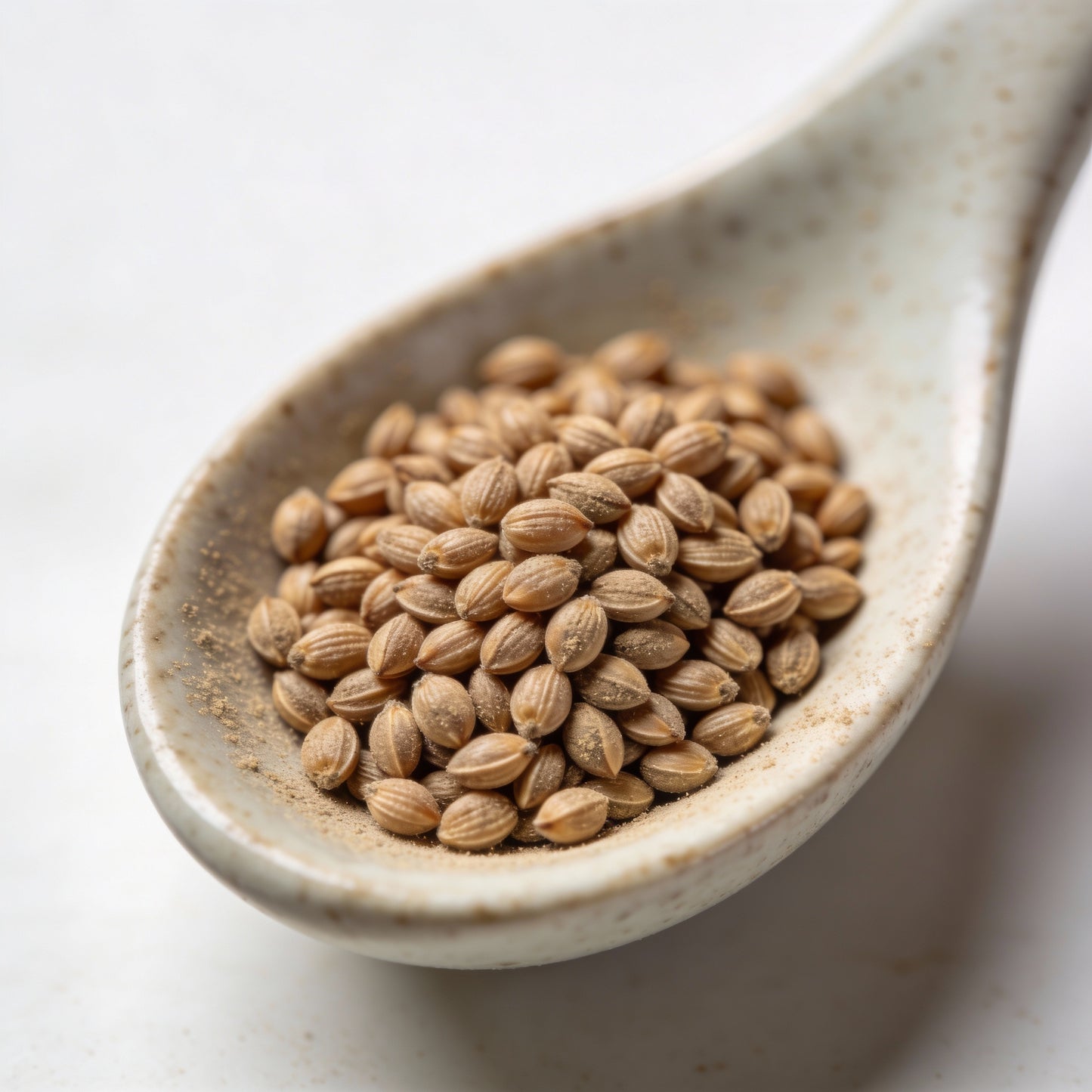 Alyssum Flower F1 Seeds Magic Circle Mix 30 Seeds Pack