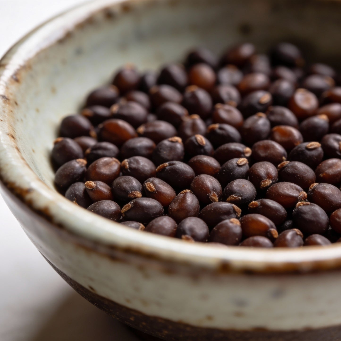 Pseudomuscari Pallens Flower Seeds for Garden Planting