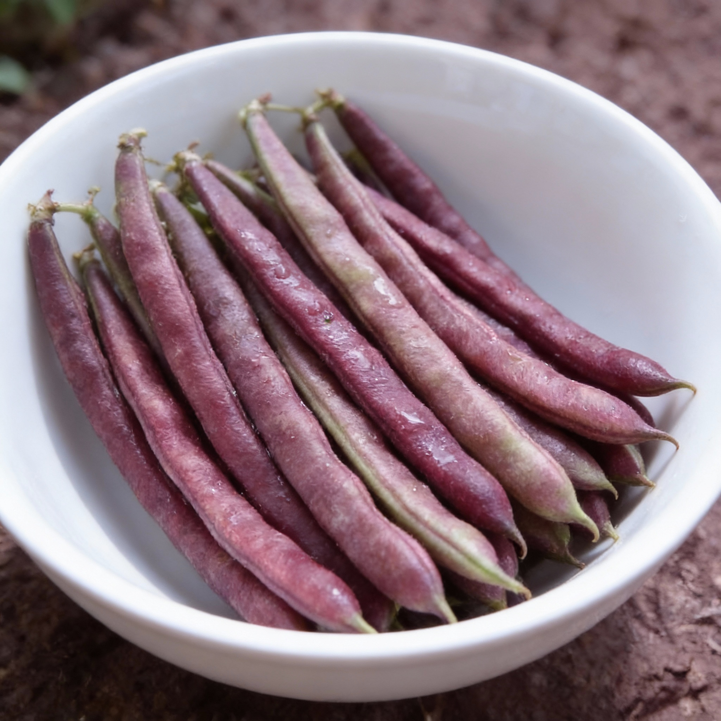 Pink-Eyed Purple Hulled Beans Vegetable Seeds Elevate Your Gardening with Nutritious Colorful Beans