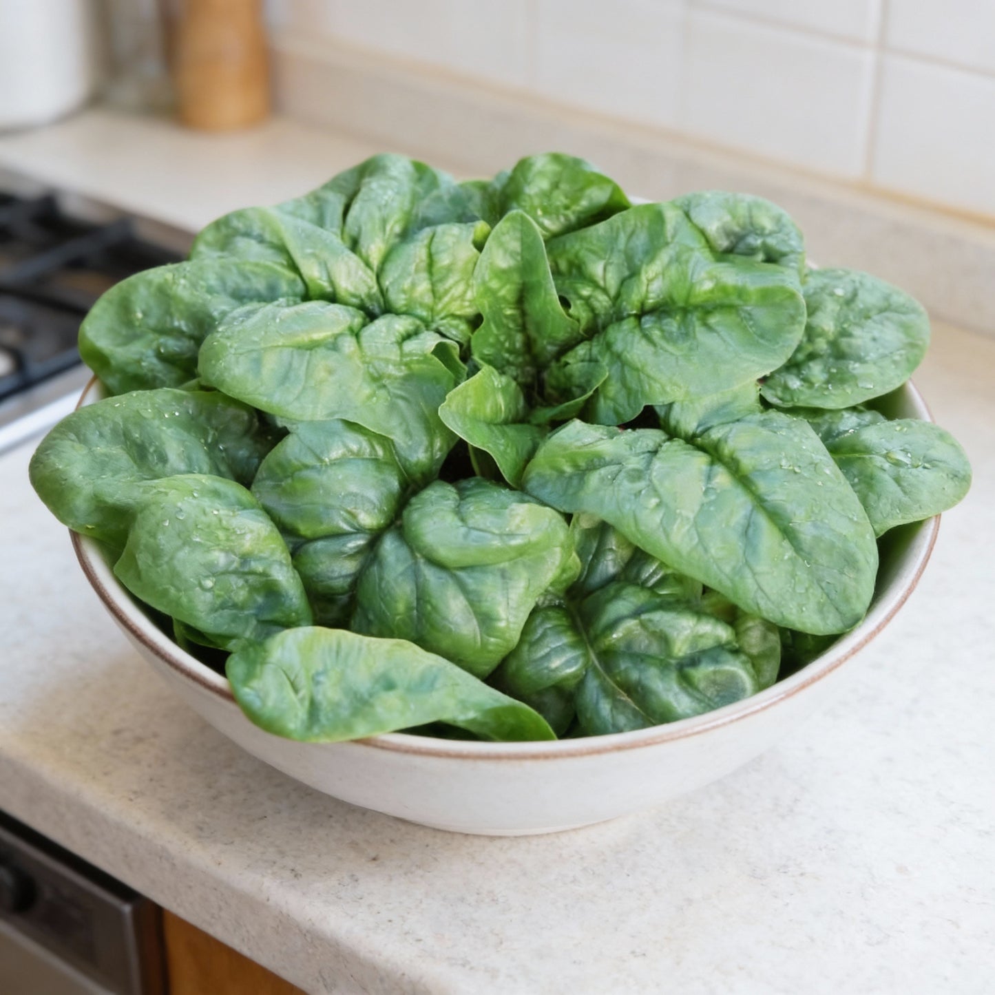 Regiment Spinach Seeds – High-Yield, Nutritious Green Variety for Healthy Gardens