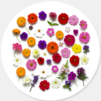 All-Season Bloomers