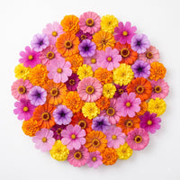 Flower Seeds