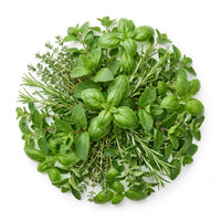 Aromatic Herbs