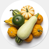 Gourd Family