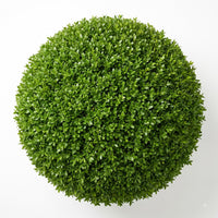 Shrub & Hedge Seeds