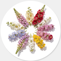Biennial Flowers