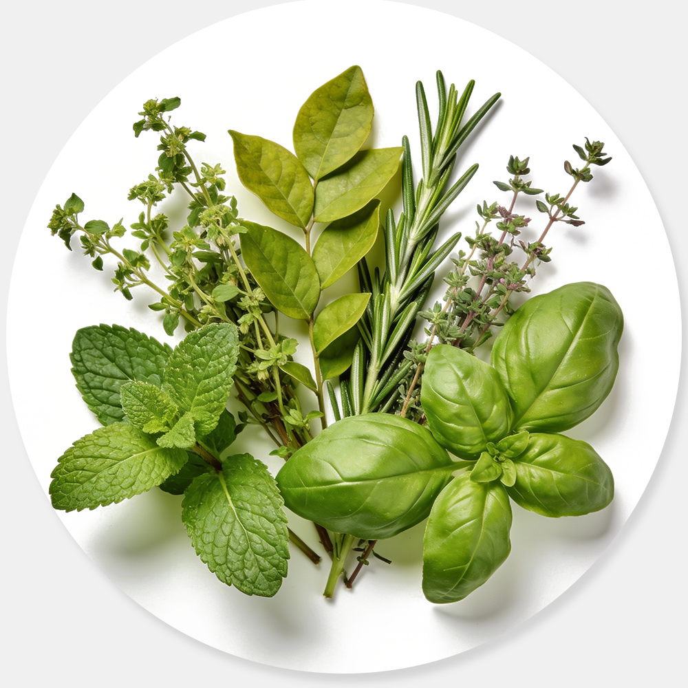 Herb Seed Banks
