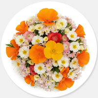 Wild Flower Seeds