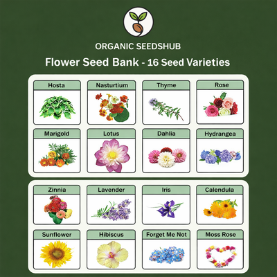 all-in-one-flower-seed-bank-for-planting-16-organic-seed-varieties