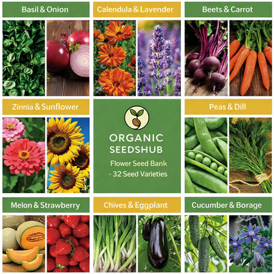mixed-seed-pack-for-planting-32-varieties