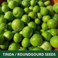 Tinda Seeds for Planting - Indian Round Gourd