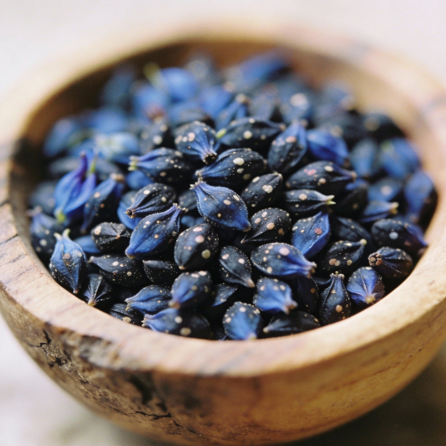 Aquilegia Clematiflora Blue Seeds for Garden Planting