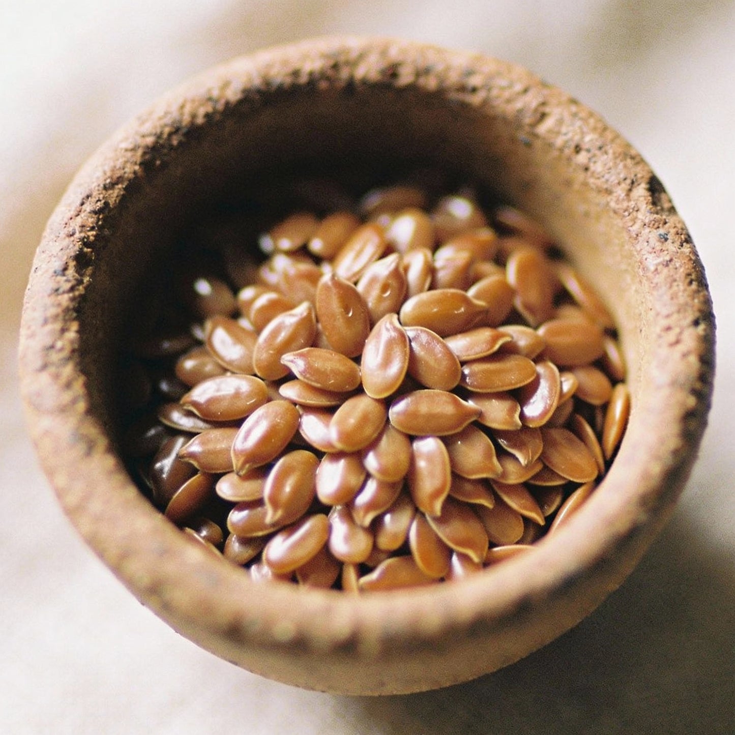 Linum Perenne Perennial Flax Flower Seeds for Garden Planting