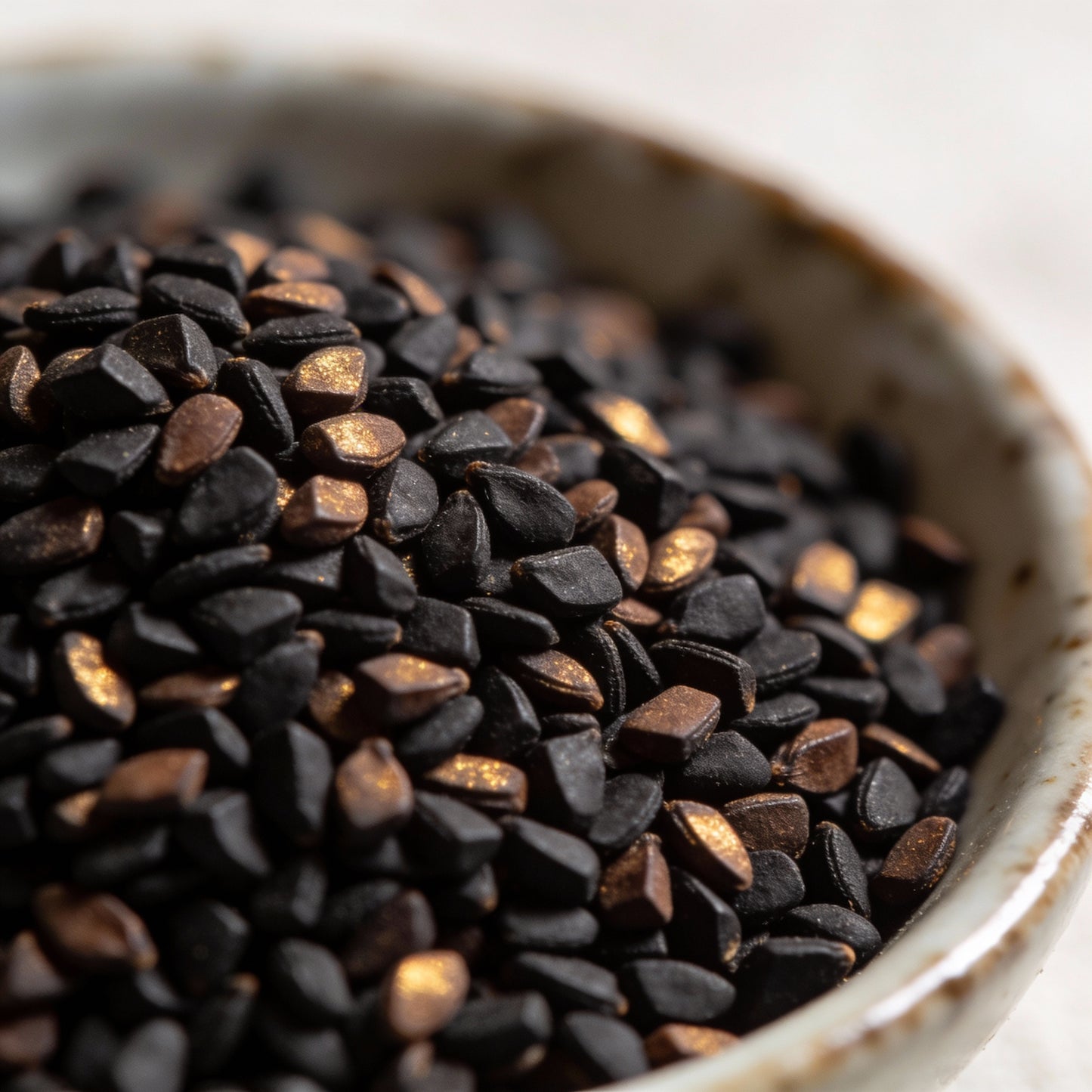 Salvia Amplexicaulis Seeds for Garden Planting