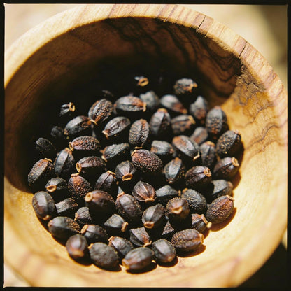 Fritillaria Pontica Flower Seeds for Garden Planting