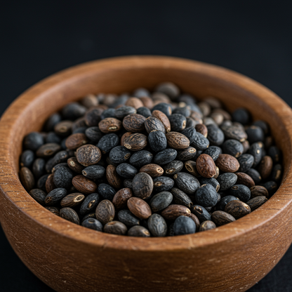 Seed Lupin Hartwegii Avalune Bicolour Mix for Garden Planting