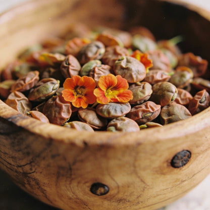 Nasturtium Princess Seeds for Garden Planting