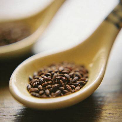 Meaty Flower Seeds Planting 100 Pcs