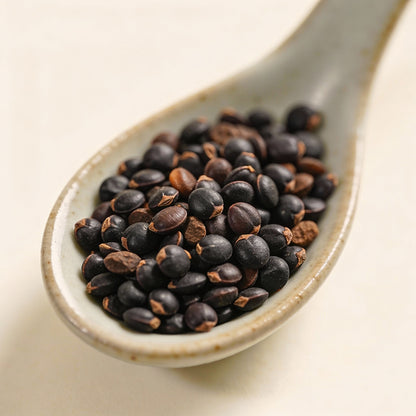 Nema Rare African Cactus Succulent Seeds Green And White 100 Pcs