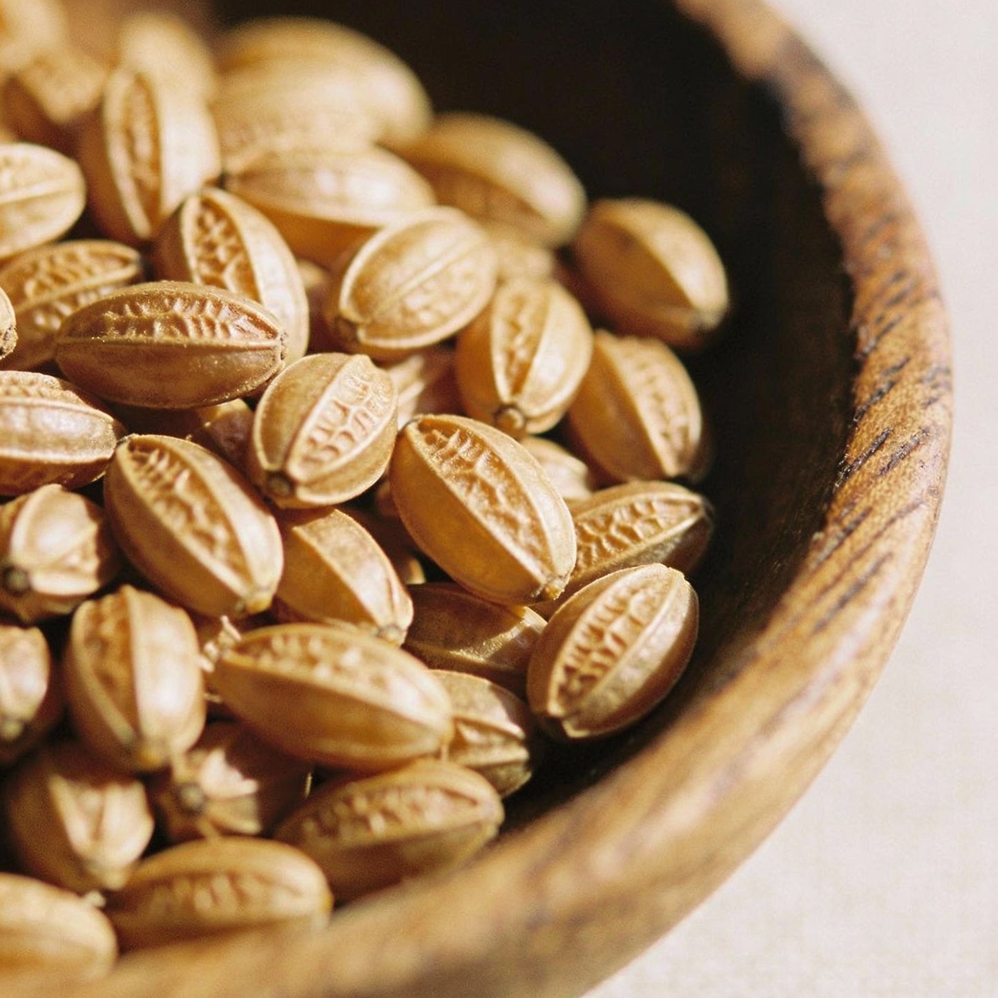 Kolkwitzia Amabilis Seeds for Garden Planting