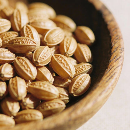 Kolkwitzia Amabilis Seeds for Garden Planting