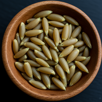 Tulip Danceline Flower Seeds