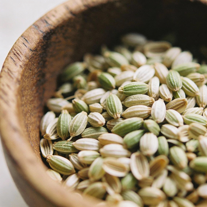 Green and White Flower Seeds Mix for Garden Planting