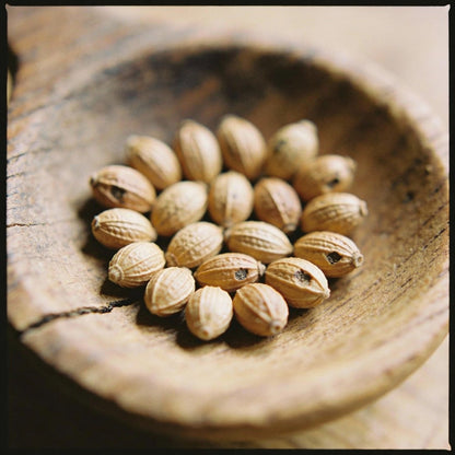 Albucca Humilis Flower Seeds for Garden Planting