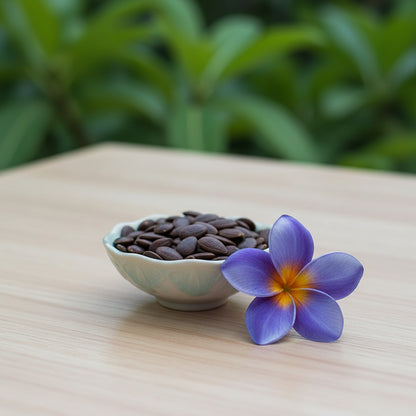 Blue Plumeria Seeds for Planting
