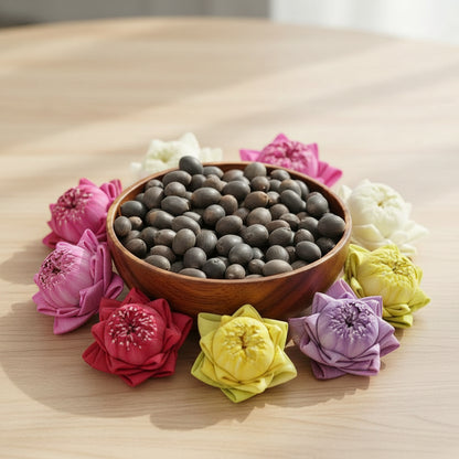 Mixed Colour Lotus Seeds for Planting