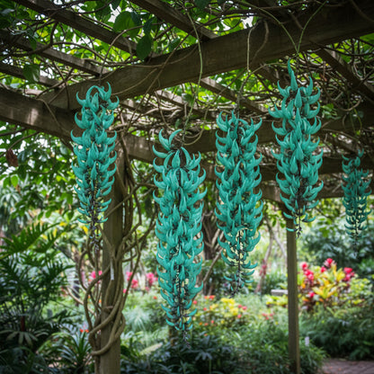 Jade Vine Seeds – Grow Exotic Strongylodon macrobotrys for Stunning Tropical Gardens