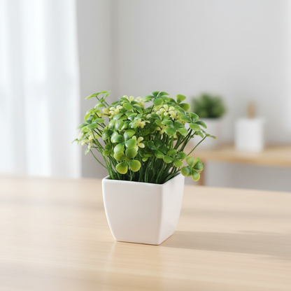 Four Leaf Clover Seeds – Perennial GMO-Free Ground Cover for Beds, Borders & Containers