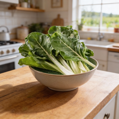 Silverbeet Silverton Seeds – Premium Vegetable Seeds for Planting