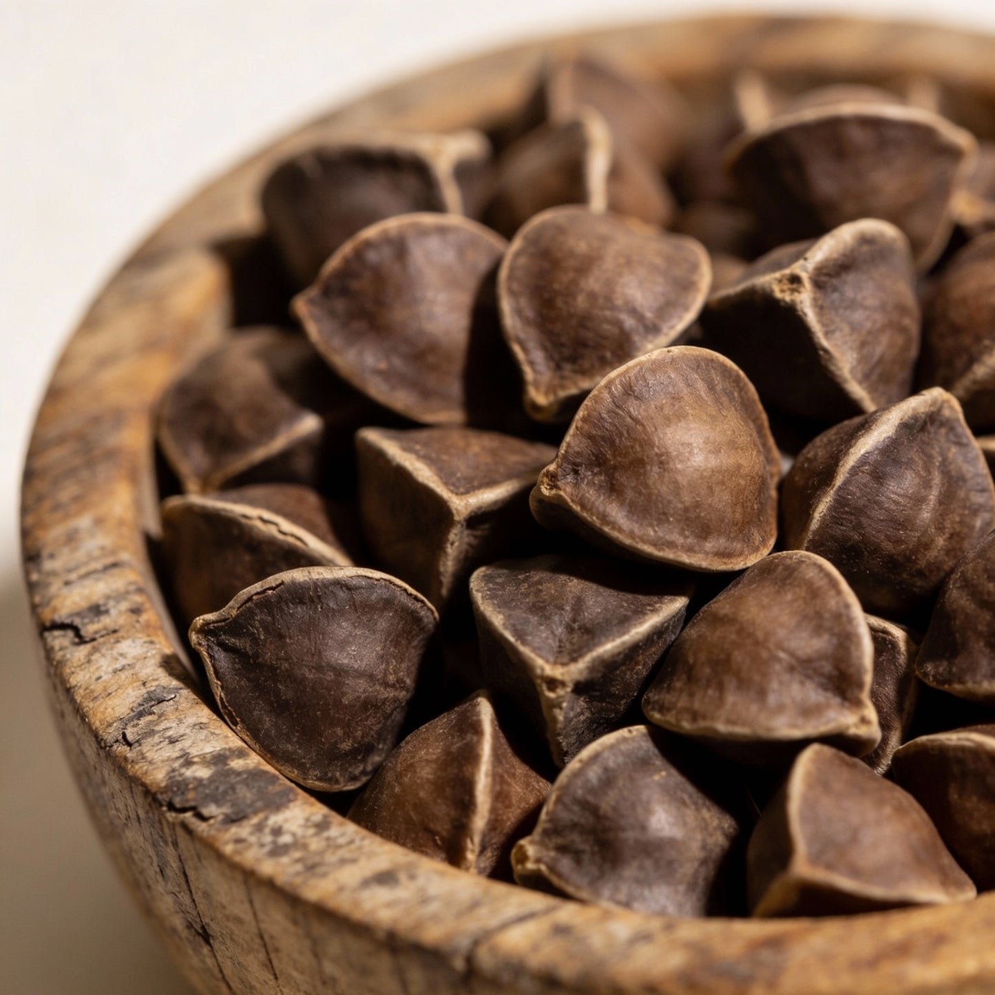 Coral Creeper Wildflower Seeds