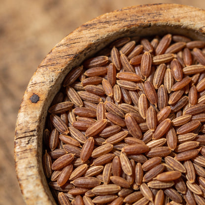 Compacted Featherflower Wildflower Seeds