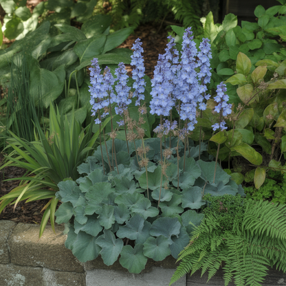 Jacobs Ladder Seeds - Jacob's Ladder Flower Seeds for Garden