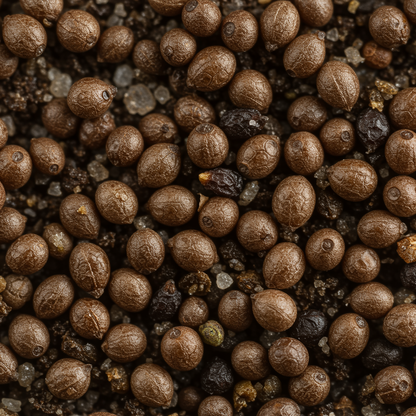 Saxifraga Species Mixed Seeds for Rock Gardens and Borders