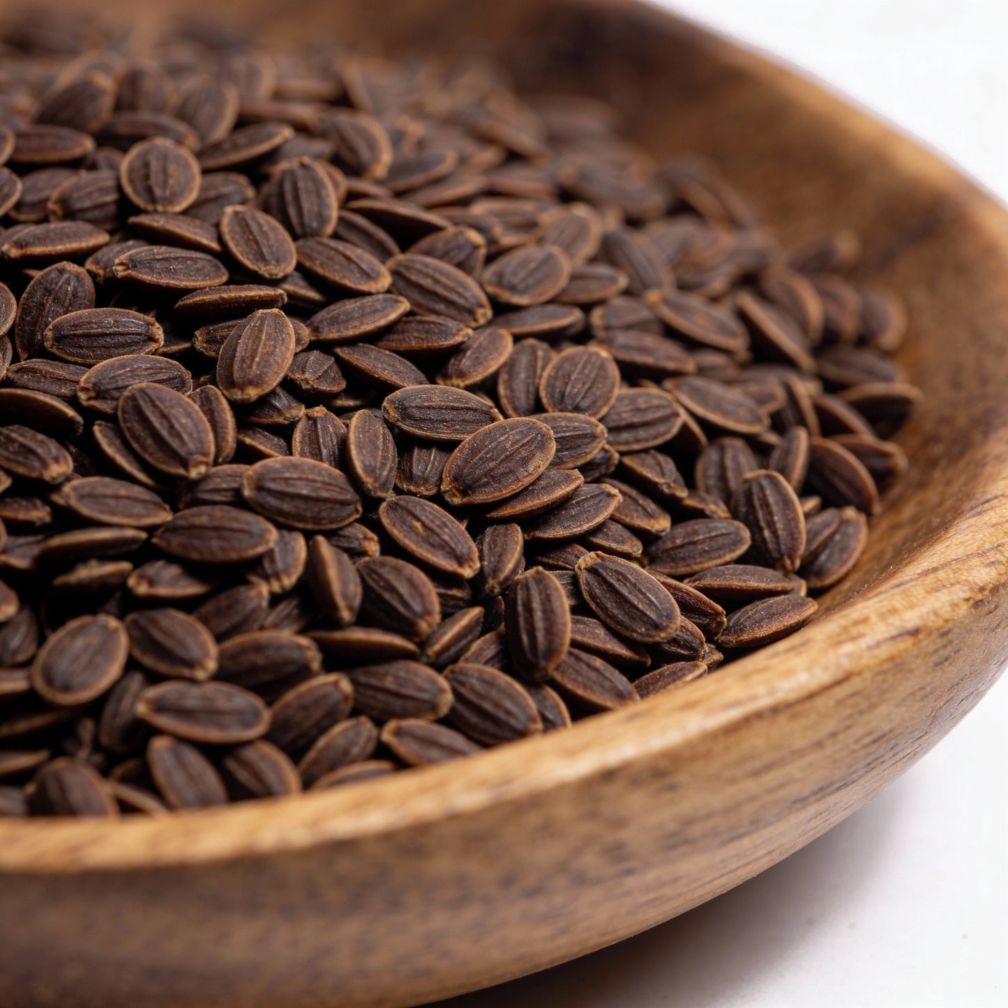 Fascicularia Micrantha Seeds – Exotic Bromeliad for Tropical Gardens & Containers