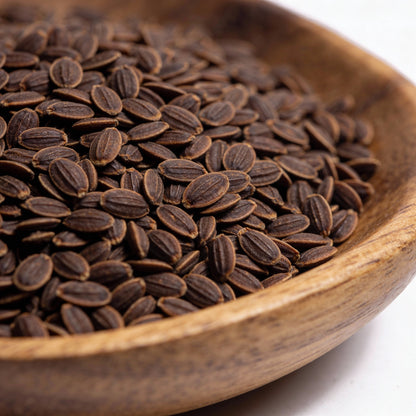 Fascicularia Micrantha Seeds – Exotic Bromeliad for Tropical Gardens & Containers