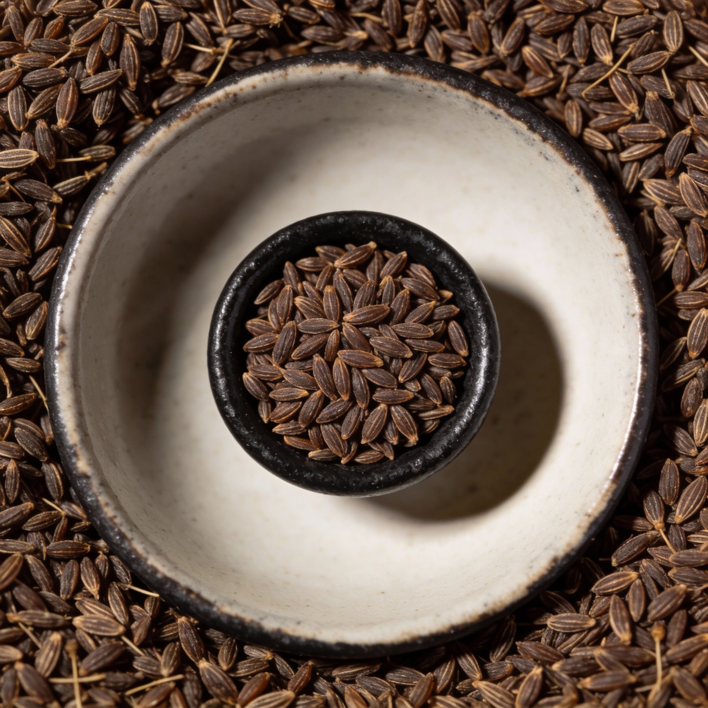 Lychnis Flos-Jovis Seeds for Garden Planting