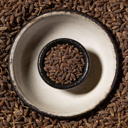 Lychnis Flos-Jovis Seeds for Garden Planting
