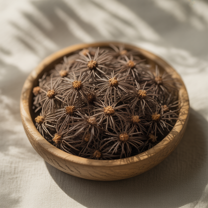 Japanese Wineberry Seeds – Exotic Sweet Red Berry Fruit Seeds