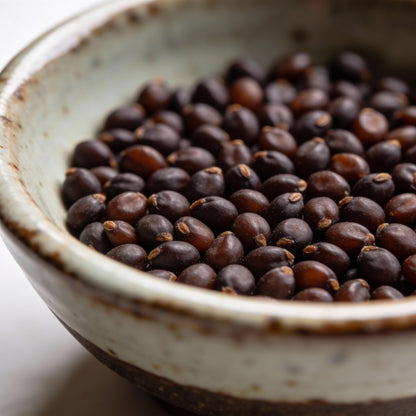 Pseudomuscari Pallens Flower Seeds for Garden Planting