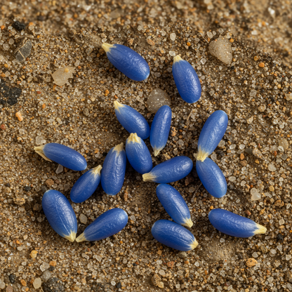 Puya Coerulea var. Coerulea Flower Seeds – Blue-Green Ornamental for Planting