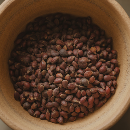 Red Nectarine Seeds for Planting – Nectarine Fruit Tree Seeds for Home & Orchard Growing