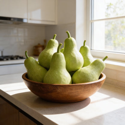 Bottle Gourd Desi Spinning Top Seeds - Heirloom Bottle Gourd Seeds for Home Garden