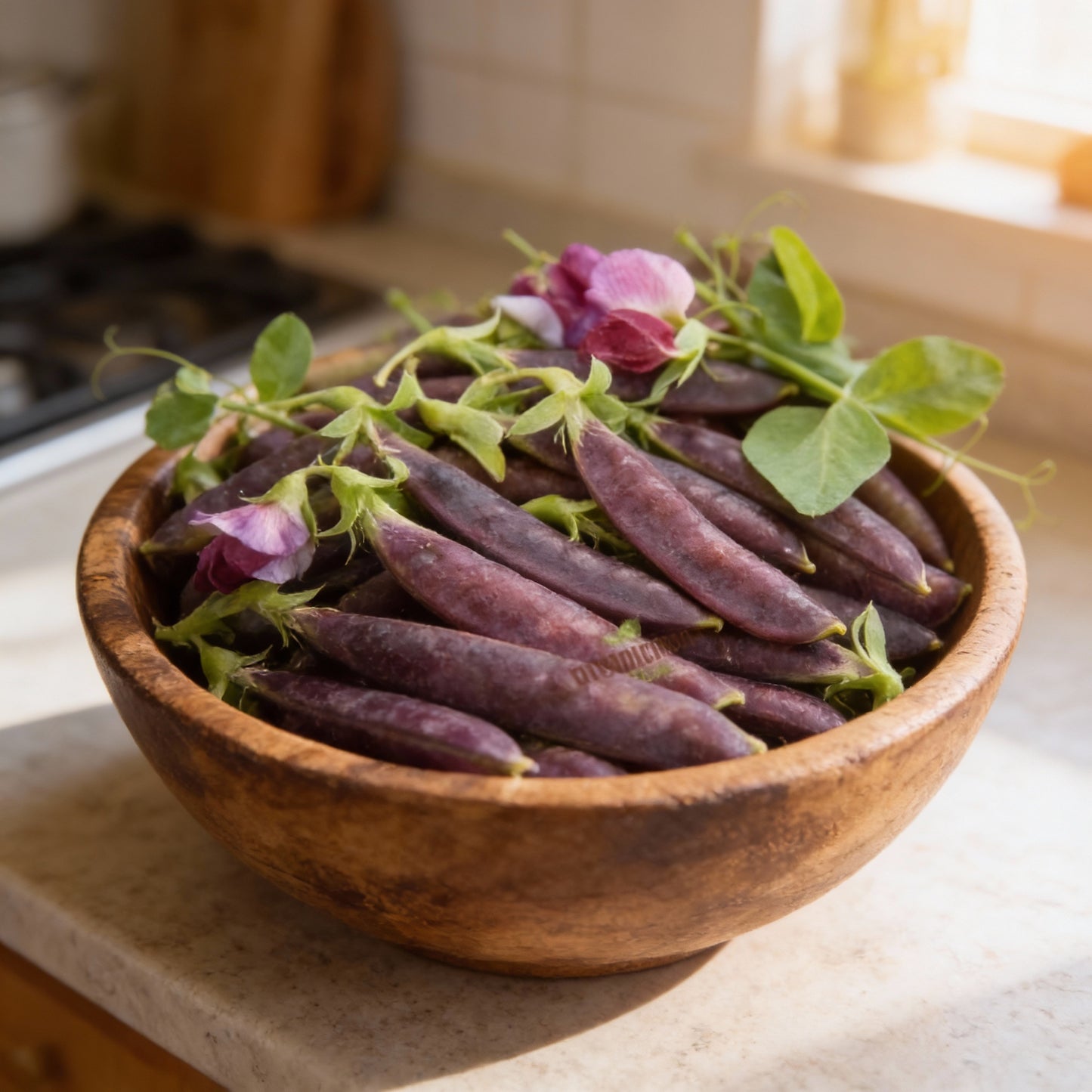 Purple Magnolia Sugar Snap Pea Seeds