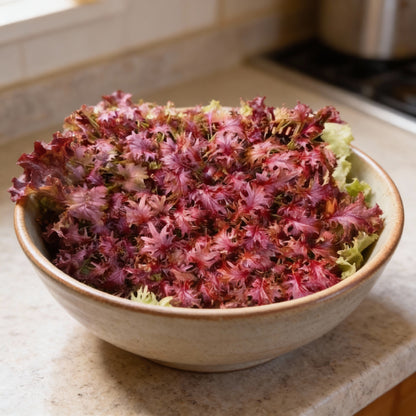 Kale Red Ruble Seeds Nutrient Rich Leafy Vegetable Seeds