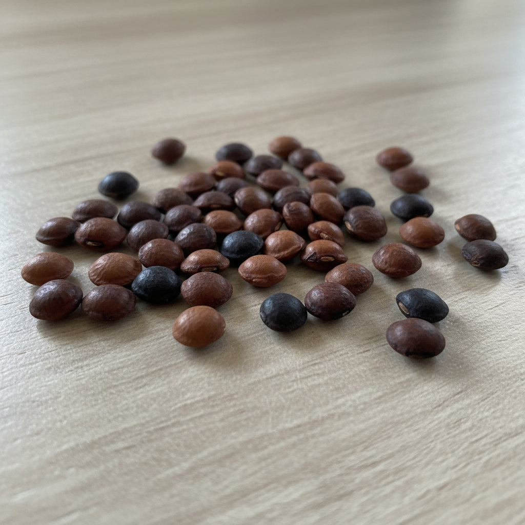 Kudzu Seeds for Planting - Pueraria lobata