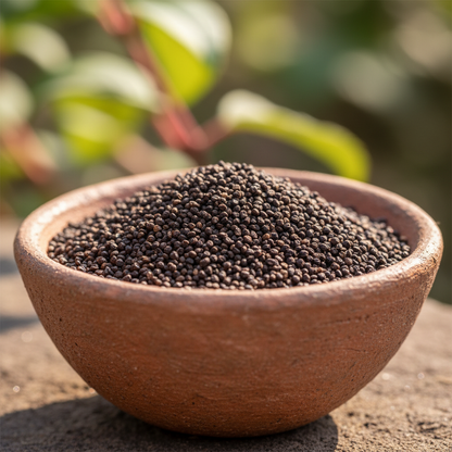 Fuchsia Boliviana Seeds for Garden Planting